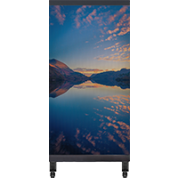 LP-T Series Transparent LED Poster Display | 1×2m | P3.91mm | Holographic LED Film for Storefront Glass & Showcase Windows