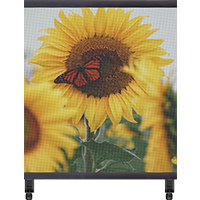 LP-T Series Transparent LED Poster Display | 2×2m | P3.91mm | Large Holographic LED Film Screen for Retail Window Display