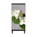 LP-T Series Transparent LED Poster Display | 2×2m | P3.91mm | Large Holographic LED Film Screen for Retail Window Display