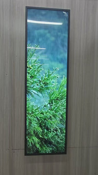 49.5 Inch Ultra-Wide Stretched LCD Shelf Display – 1210×340mm Viewable Android Bar Screen | Cloud Platform & USB Playback